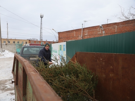 Партию переработанных новогодних елок отправили в приют для животных в Серпухове
