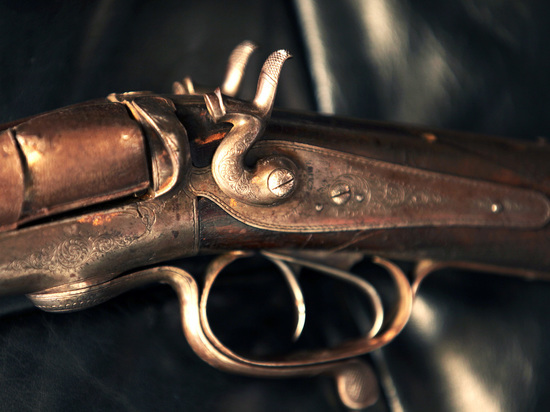 Двух хозяйских собак застрелили в подмосковной деревне