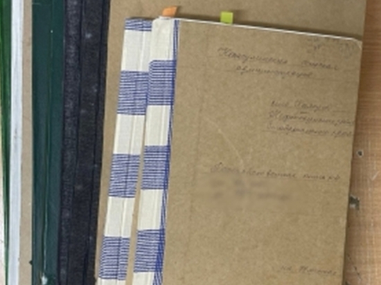 На Ставрополье замглавы сельсовета обвинили в превышении полномочий