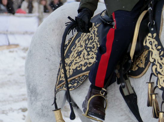 «Традиционное казачье воспитание» на Ставрополье повлекло проверку по всей области