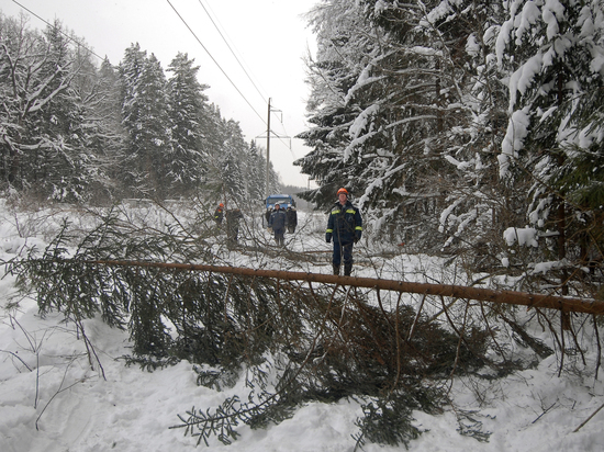Энергетики объяснили причины длительных отключений в Чеховском городском округе