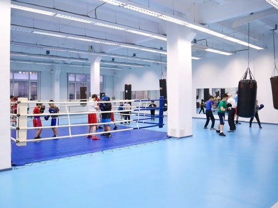 Министр спорта Хакасии рассказал о развитии бокса в республике