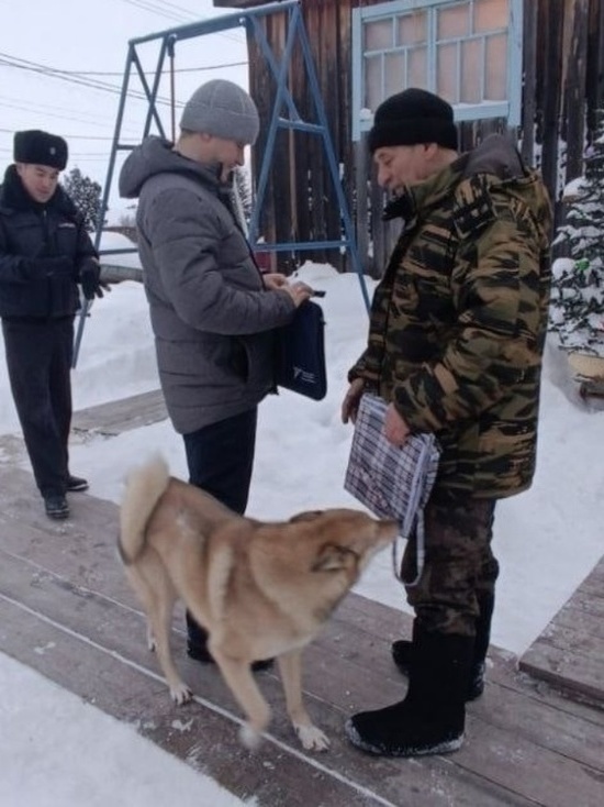 В Мужах выявили 5 собак на самовыгуле и не стали штрафовать владельцев