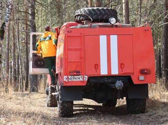 Краевой Лесопожарный центр Красноярска ищет 119 новых сотрудников