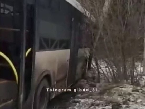 В Белгородской области при столкновении автобуса с опорой ЛЭП пострадали два пассажира