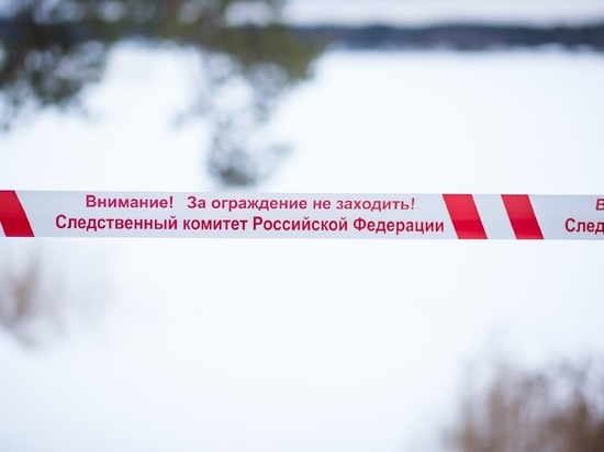 В Тверской области СК проверит УК из-за рухнувшей на скамейку глыбы льда