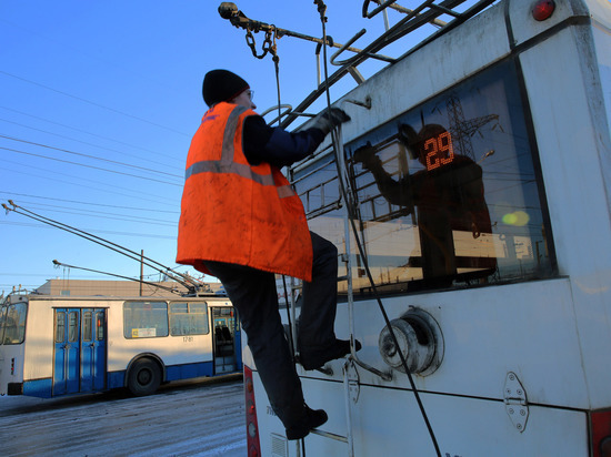 В Великом Новгороде обломившаяся ветка повредила контактную сеть троллейбуса