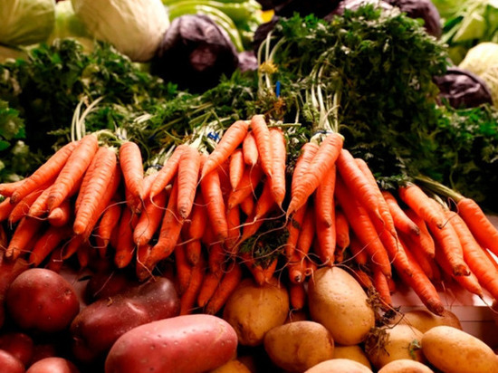 Липецкой области выделили средства на поддержку производства картофеля и овощей