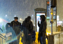 Телеграм-канал комплекса городского хозяйства Москвы предупредил, что продолжающаяся в столице оттепель может принести в ночь на пятницу мокрый снег, дожди и местами грозы
