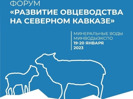 Калмыцкие животноводы обсуждают вопросы отрасли на всероссийском форуме