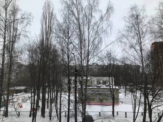 20 января в Иванове ожидается пасмурная погода