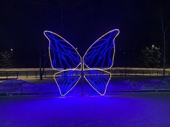 В Красноярске установили арт-объект в виде бабочки