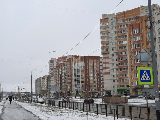 В Тамбовской области за сутки инспекторы ГИБДД оштрафовали 30 пешеходов