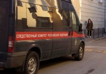 Тело мужчины без одной руки нашли в подтаявшем сугробе в Новой Москве