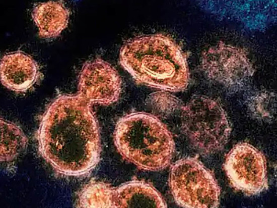 Коронавирус из Китая: пандемия или биологическое оружие?