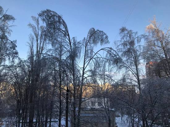 В ночь на 21 января в Рязанской области похолодает до -8 градусов