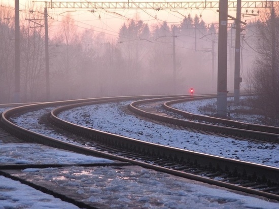 В Ярославле на железнодорожных путях нашли израненного пешехода