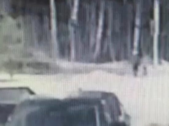Прокуратура: в Зеленограде автомобиль сбил не детей, а взрослых