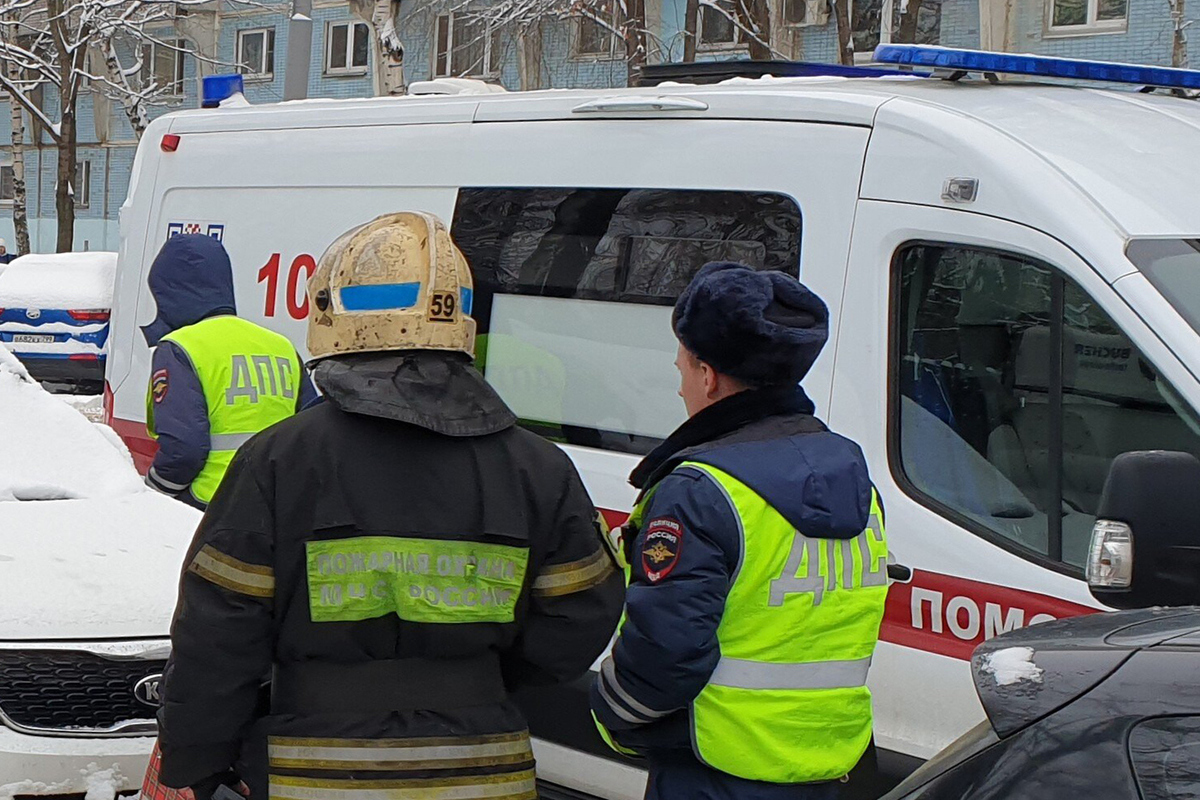 Водитель зеленоград вакансии. В Зеленограде сбили пешехода.