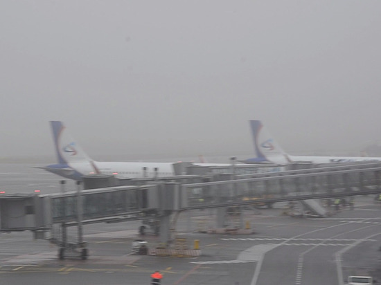 Рейсы выполняются: Калининградский аэропорт полностью возобновил работу