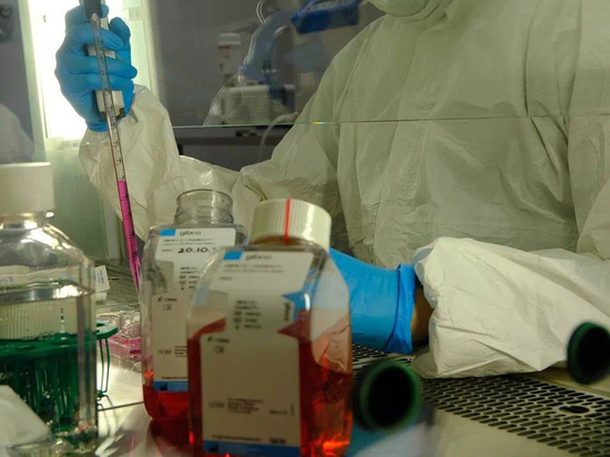 Российские ученые разработают биопротезы для замены пораженных раком органов