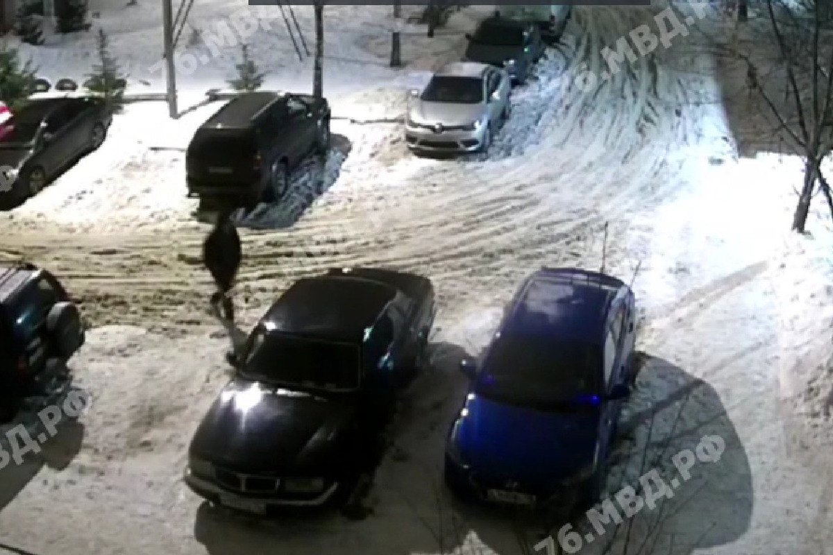 В Рыбинске арестовали гражданина, проткнувшего колеса 6 иномаркам