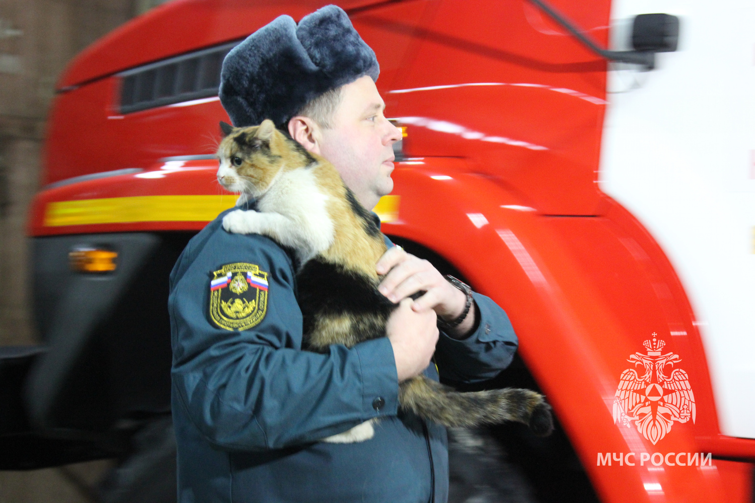 В Нижегородской области уникальный кот стоит на боевом посту в пожарной части