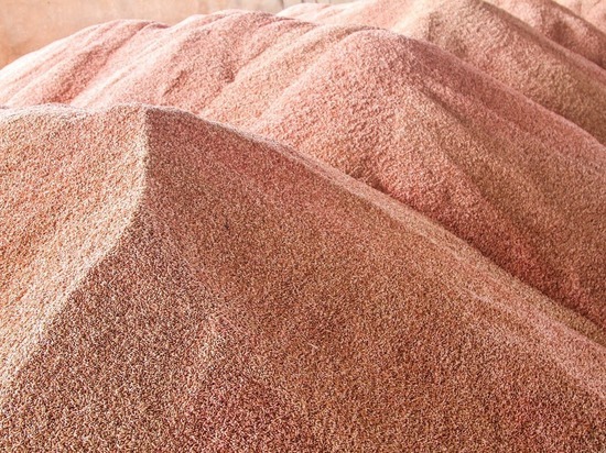 Астраханская область экспортировала в Иран более 29 тыс. тонн кормов