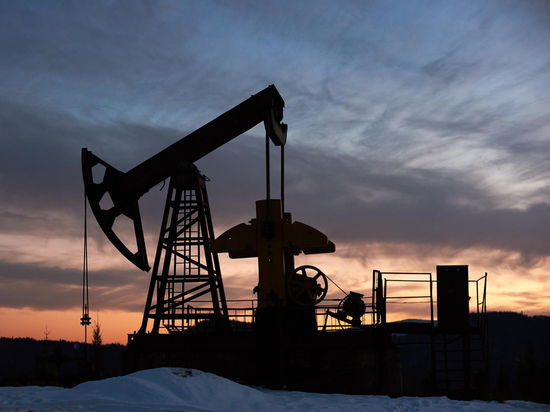 Губернатор Мазур обсудил с руководителем Роснедр перспективы добычи нефти и газа в Томской области