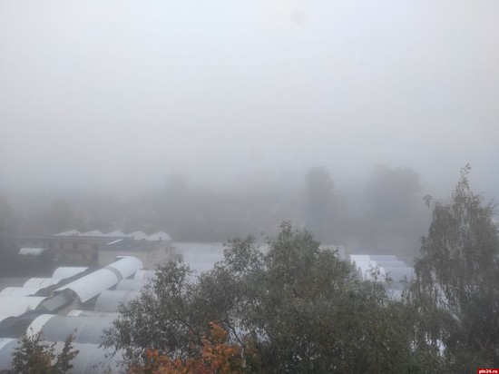 Густой туман ожидается местами по Псковской области 21 января