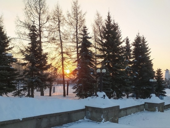 21 января в Архангельской области по-прежнему сохраняется теплая и пасмурная погода