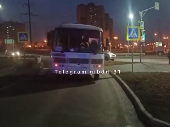 В Белгороде автобус сбил 19-летнюю девушку