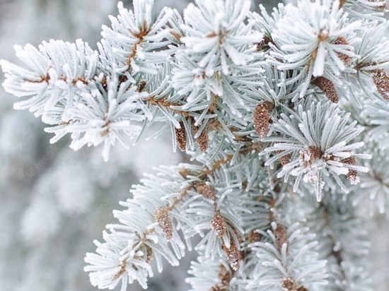 В Красноярск пришли лютые морозы за -40 градусов