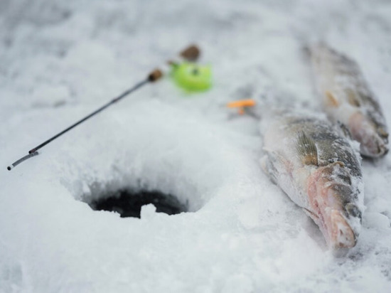 Липчанам напомнили правила безопасной зимней рыбалки