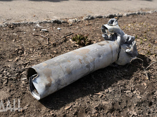 Рогов рассказал о войне ВСУ с "мертвыми"