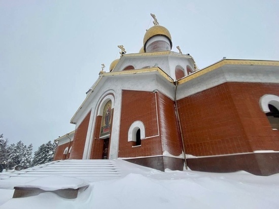 Жители Ноябрьска могут принести ненужные вещи для помощи животным в храм