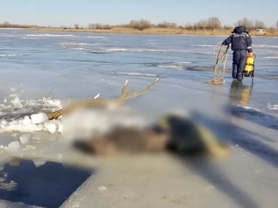 Под Астраханью обнаружили тело пропавшего мужчины