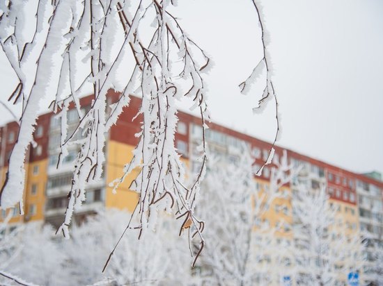 В Волгоградской области сохранятся ночные морозы до -15 градусов