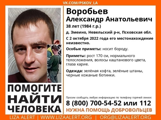 Пропавшего без вести Александра Воробьева ищут в Невельском районе