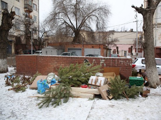 Волгоградцы в 2 раза чаще выбрасывают елки на мусорку, чем сдают на переработку