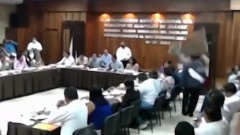 В Мексике еноты сорвали заседание городского совета Акапулько: видео