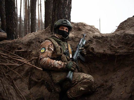 Командир «Русского легиона»: ВС РФ противостоит миллионная армия Украины
