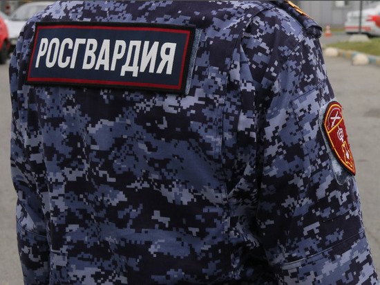 В Калининградской области за неделю изъяли семь единиц оружия