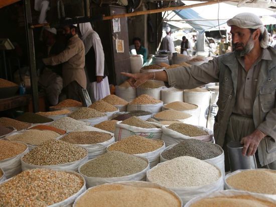 Талибы попросили помощи у Китая в развитии сельского хозяйства Афганистана