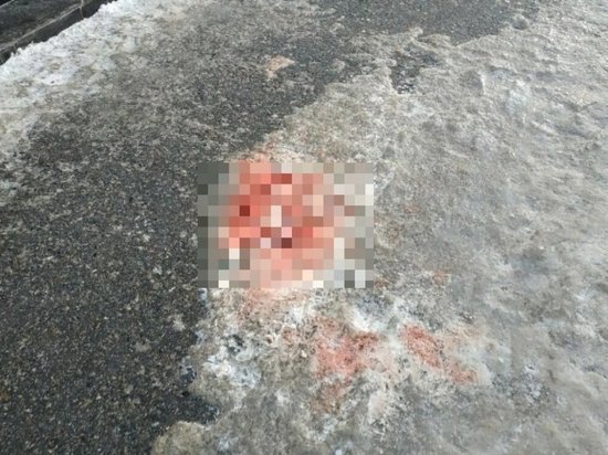В Новосибирске не смыли с тротуара кровь разбившейся девушки и погибшего парня