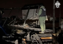 Стали известны подробности гибели двух человек при пожаре в Подмосковье вечером 20 января
