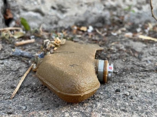 Мину-лепесток во дворе дома обнаружили жители Кировского района Донецка