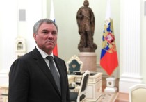 Делегация Госдумы РФ во главе со спикером Вячеславом Володиным в воскресенье, 22 января, прибыла с официальным визитом в Иран