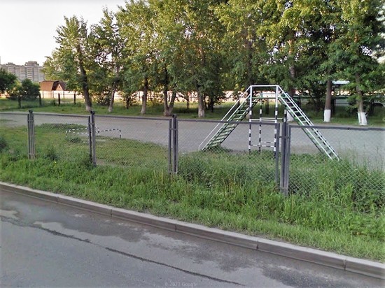 Заводчица из Екатеринбурга продала щенка дворняги под видом мальтийской болонки