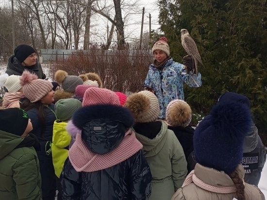 Тамбовский Соколиный двор провёл мероприятие приуроченное к Всероссийскому дню зимующих птиц